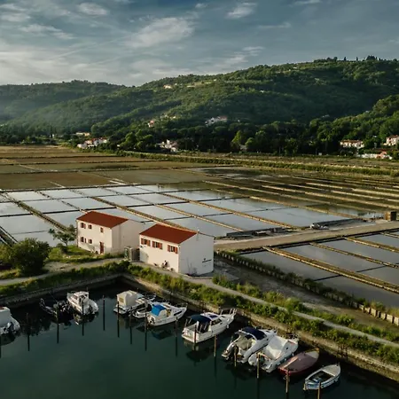 Svoboda - Terme Krka Strunjan