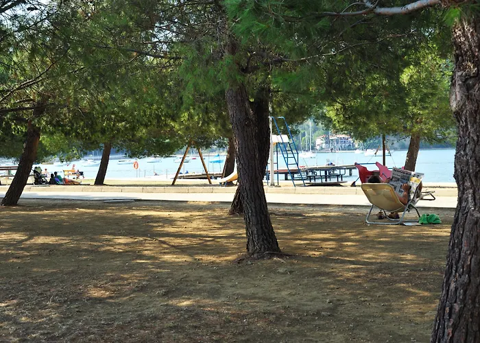 Svoboda - Terme Krka